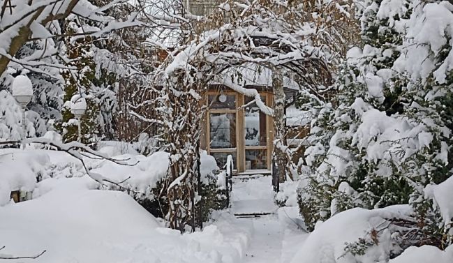 Зима в Троицких садах